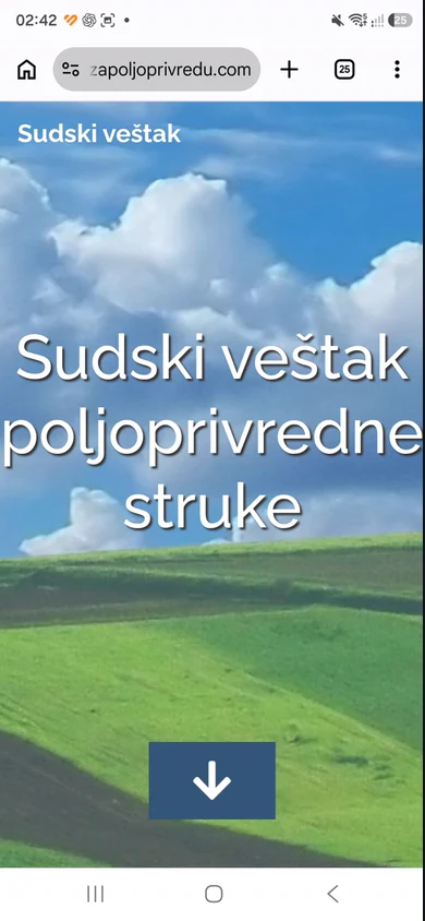 Stari sajt na telefonu, sa vidljivim okvirom pregledača: tekst izlazi iz ekrana.