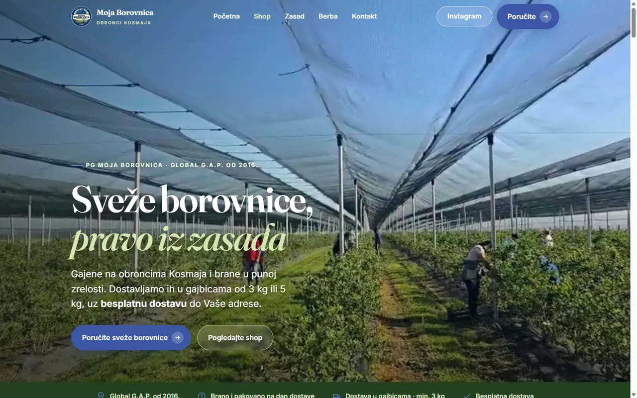 Naslovna strana sajta Moja Borovnica: redovi zasada borovnica pod zaštitnom mrežom, berači u daljini, dugme za poručivanje.